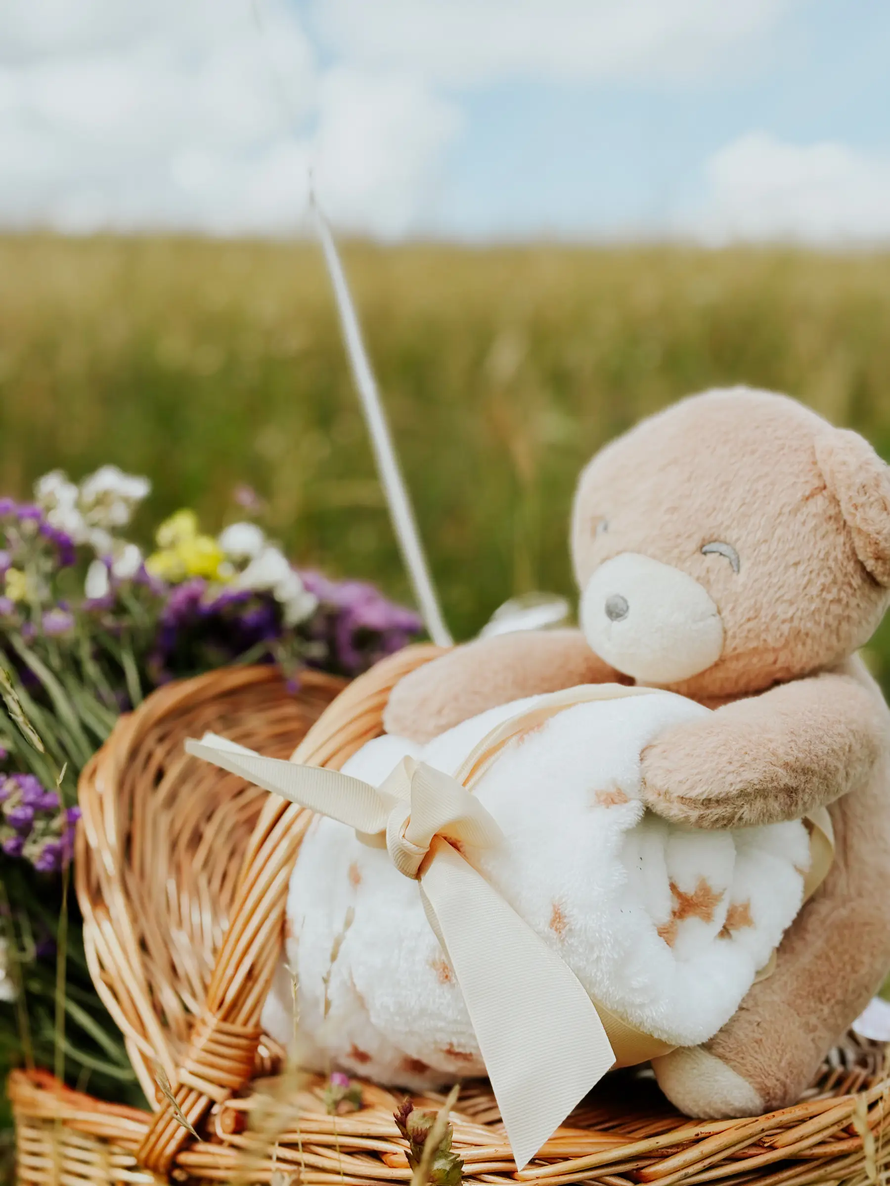 Baby Gender Reveal, Cluj